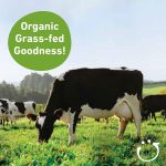 Bubs Organic Grass Fed Infant Formula Stage 1, Infants 0-6 months, Made with Non-GMO Organic Milk, 28.2 Oz - Image 9